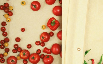 suitecase-epson.final-2nd