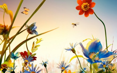 shin_maru-shinmaru3(crop)